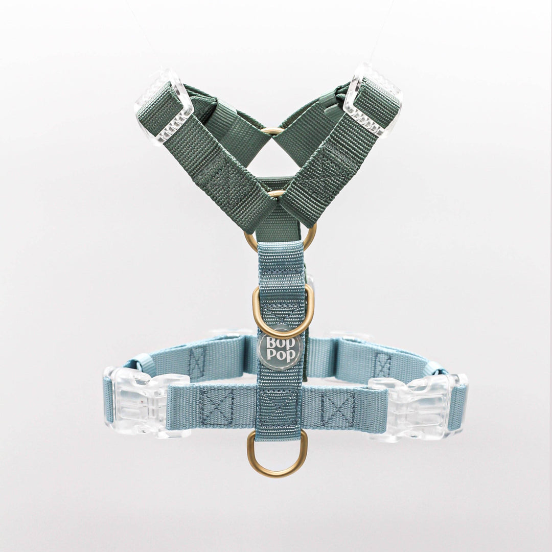 Classic Harness | Hunter Sky