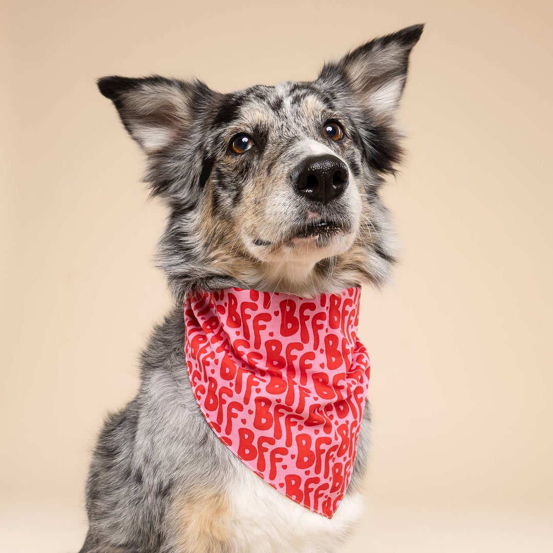 BFF Dog Bandana