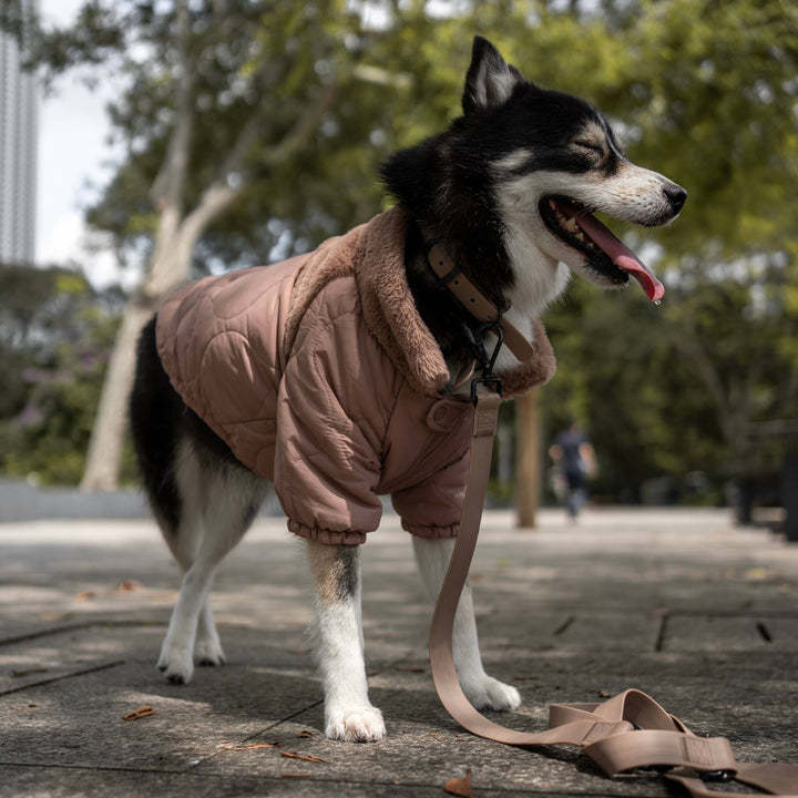 SOHO Packable Jacket