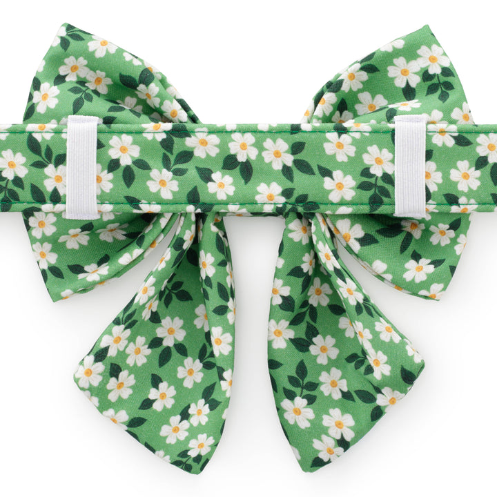 Dainty Daisies Lady Dog Bow