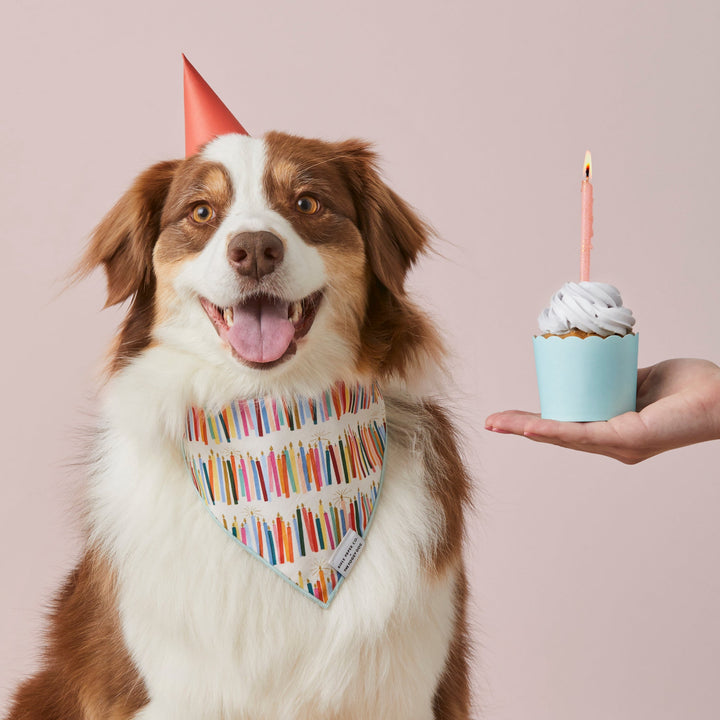 Rifle Paper Co. x The Foggy Dog Birthday Candles Bandana