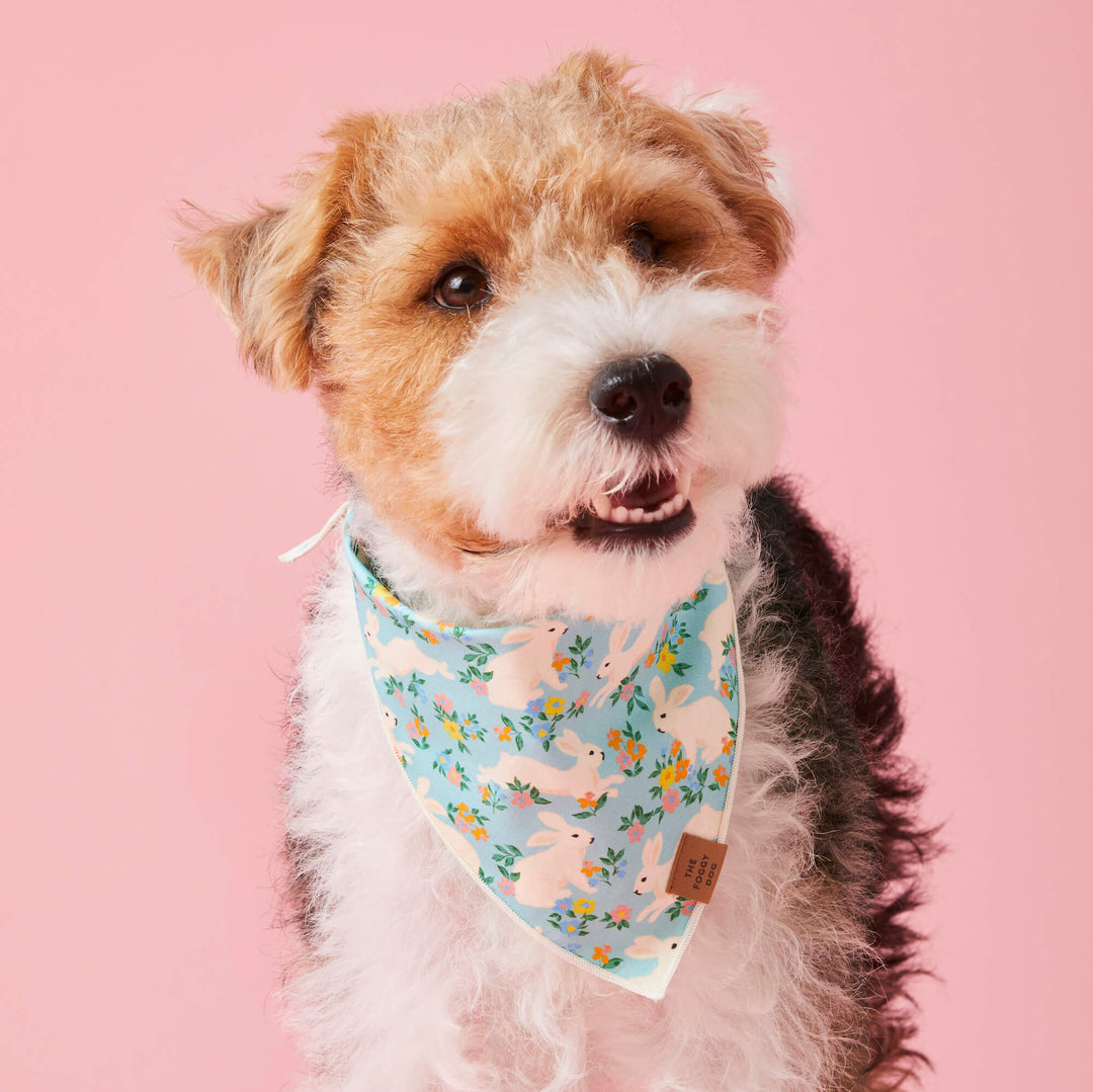 Bunny Garden Reversible Easter Dog Bandana