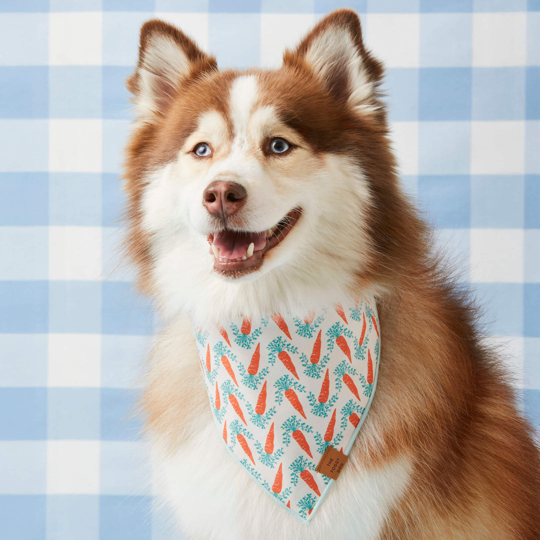 Carrot Patch Easter Reversible Dog Bandana