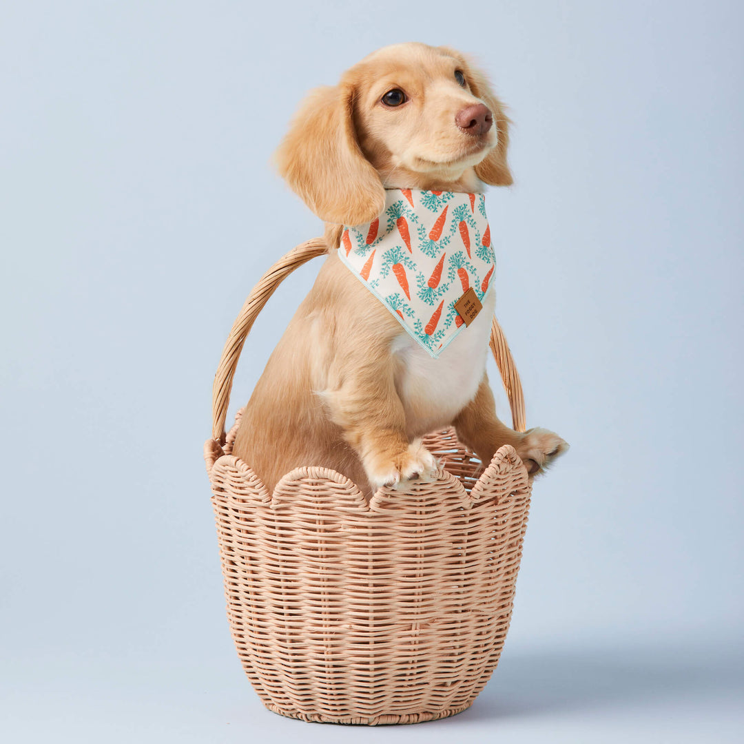 Carrot Patch Easter Reversible Dog Bandana