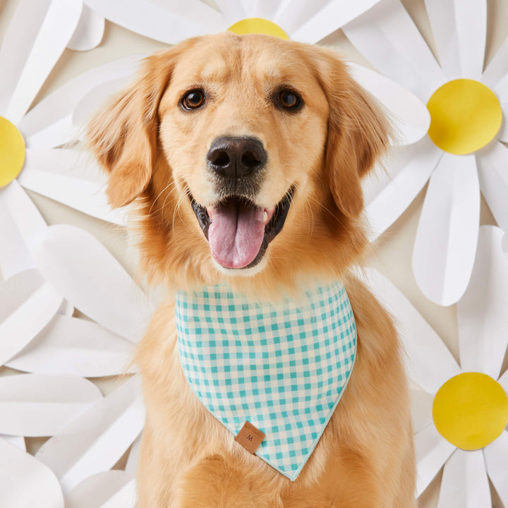 Carrot Patch Easter Reversible Dog Bandana