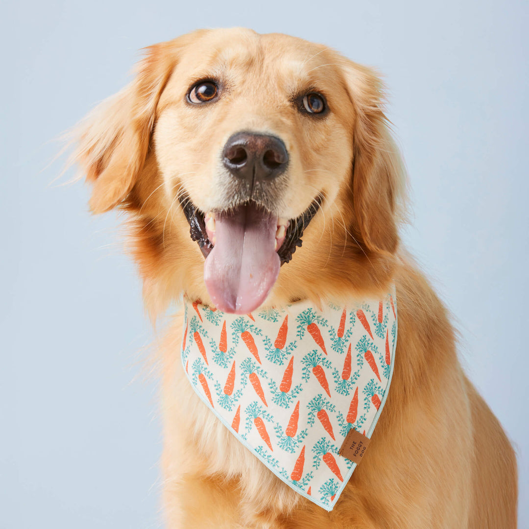 Carrot Patch Easter Reversible Dog Bandana