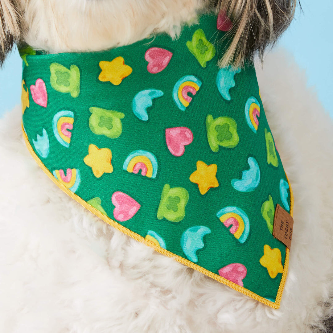 Charmed St. Patrick's Day Dog Bandana