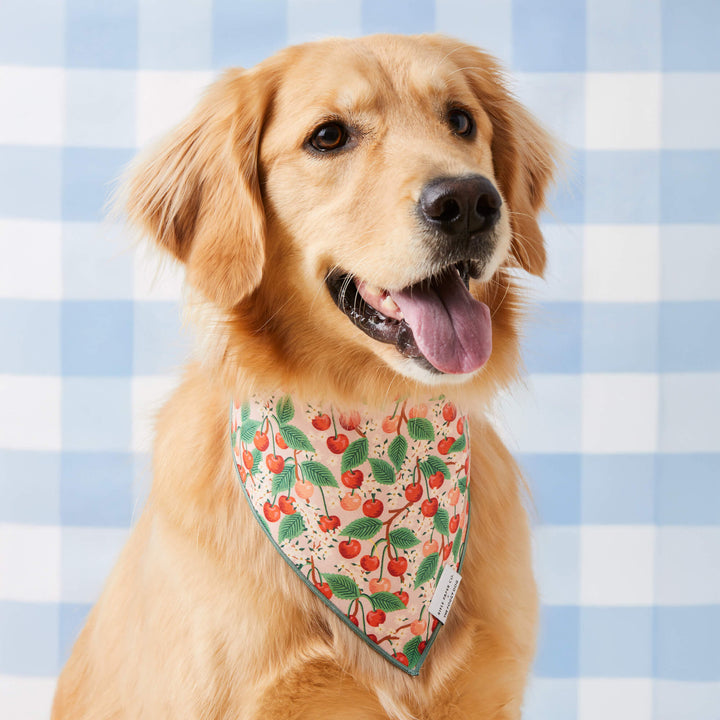 Rifle Paper Co. x TFD Cherry Blossom Spring Dog Bandana