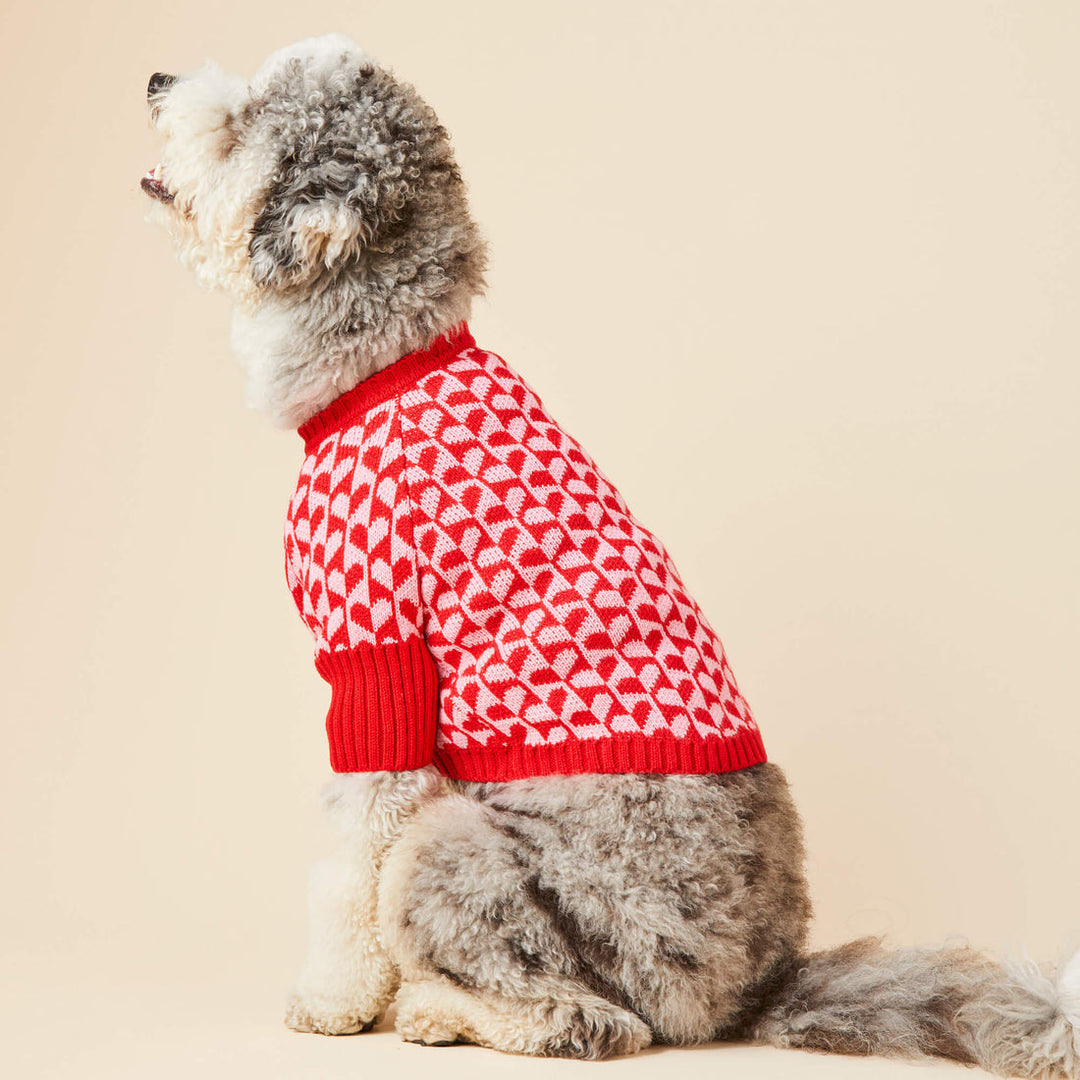 Heart Stripe Valentine's Day Dog Sweater