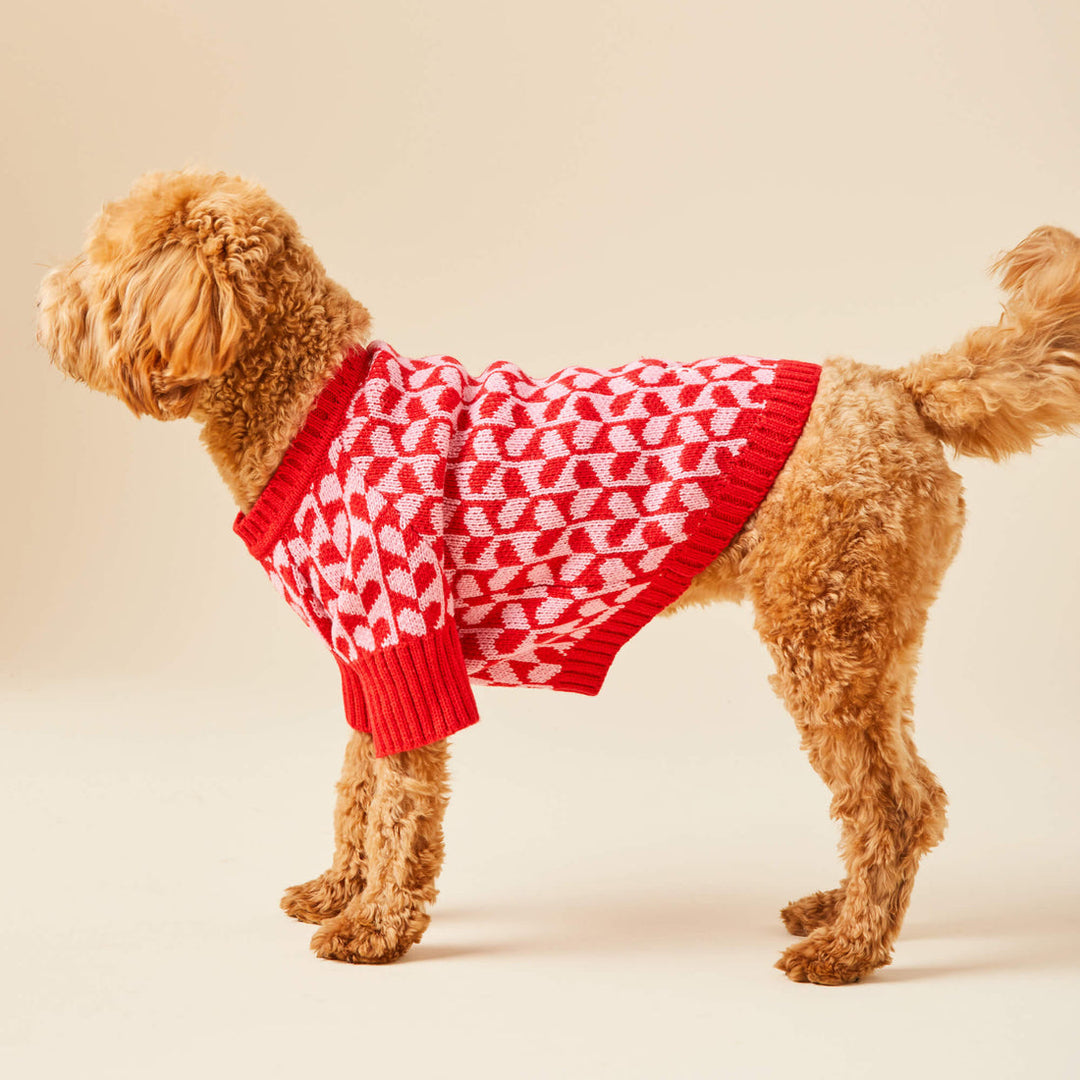 Heart Stripe Valentine's Day Dog Sweater