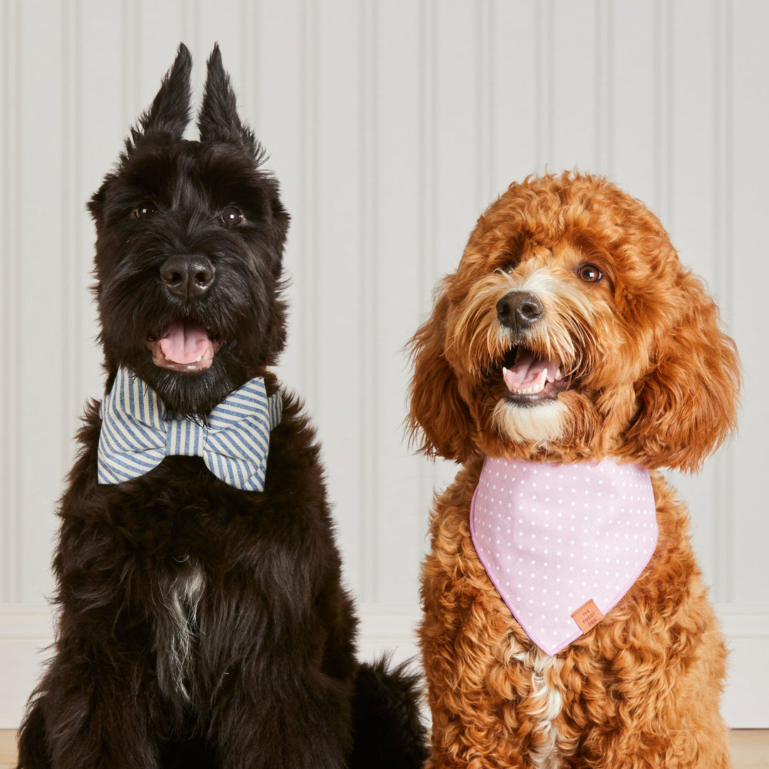 Lake Blue Stripe Summer Dog Bow Tie