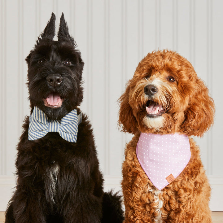 Lake Blue Stripe Summer Dog Bow Tie
