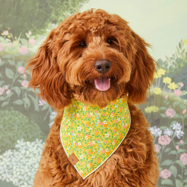 Bunny Garden Reversible Easter Dog Bandana