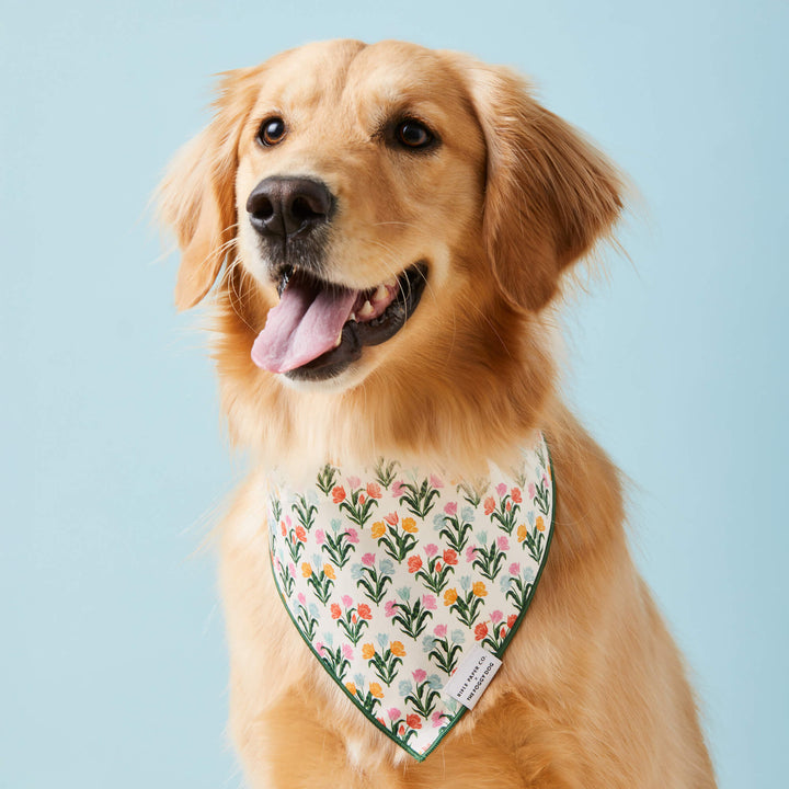 Rifle Paper Co. x TFD Tulips Spring Dog Bandana