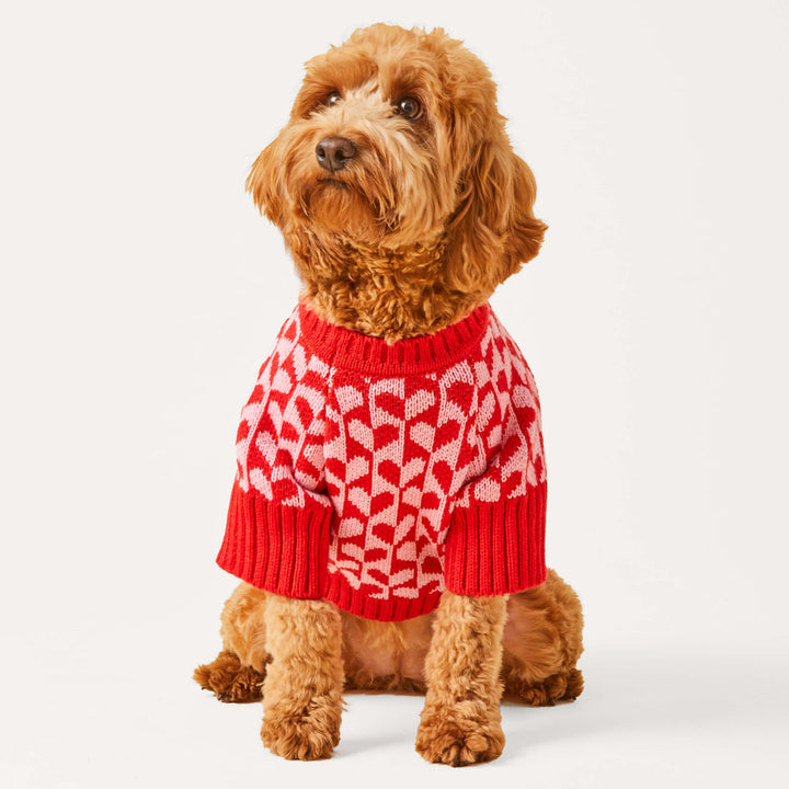 Heart Stripe Valentine's Day Dog Sweater