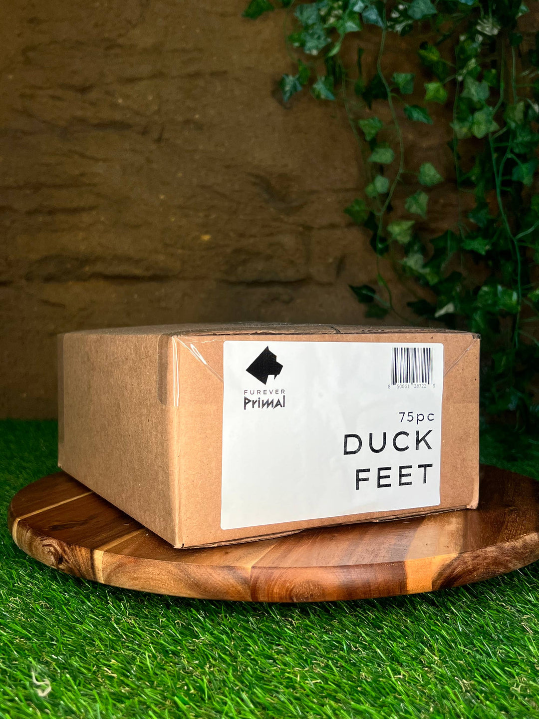 Duck Feet 75pc Bulk Dog Chew Natural Single Ingredient