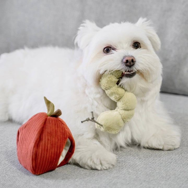 APPLE/ ENRICHMENT TOY SET// SNUFFLE TOY