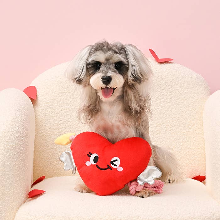 Woof Love Heart & Arrow Toy