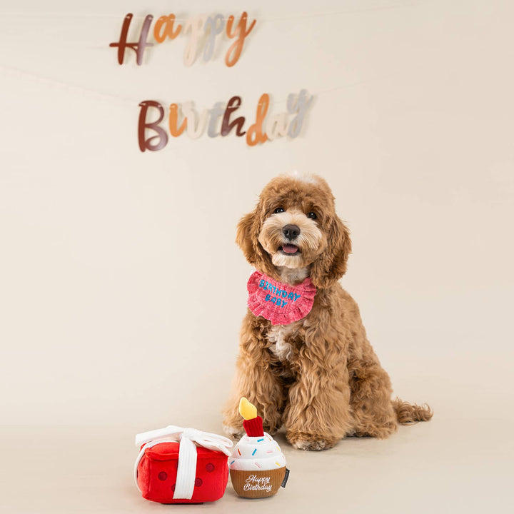 CHEWFFON Birthday Cupcake Dog Toy