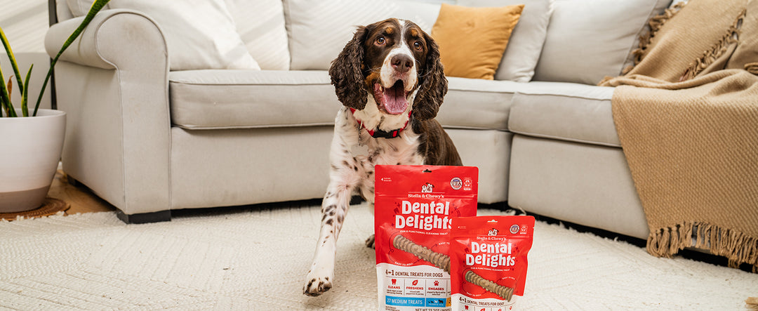 Stella and Chewy's Dental Delights - 4 in One Dental Treats for Dogs