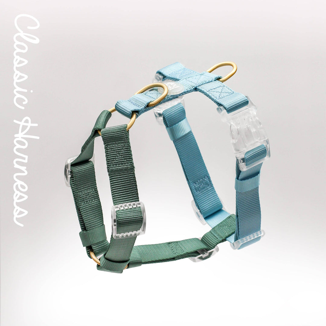 Classic Harness | Hunter Sky