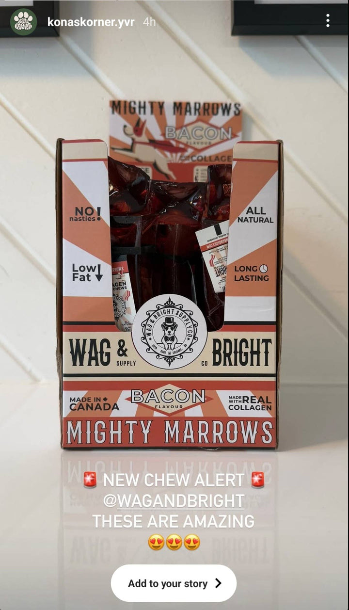 Mighty Marrows Collagen Dental Chew - Bacon