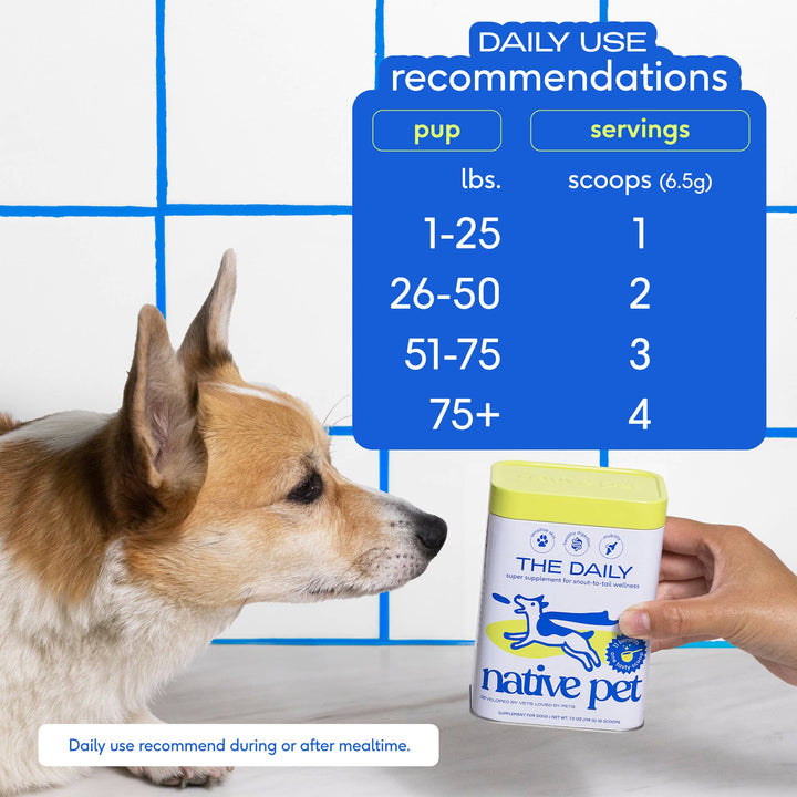 The Daily Powder Supplement, 11-in-1 Multivitamins for Dogs