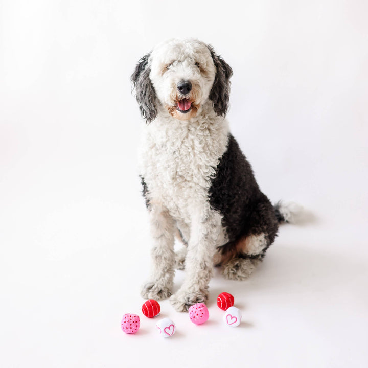 Midlee Valentine Plush Balls Dog Toy - Set of 6