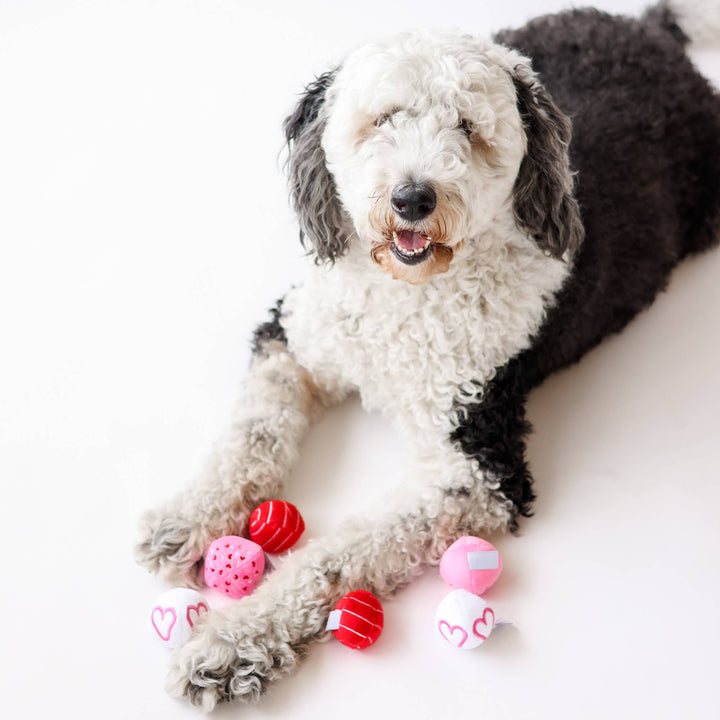 Midlee Valentine Plush Balls Dog Toy - Set of 6