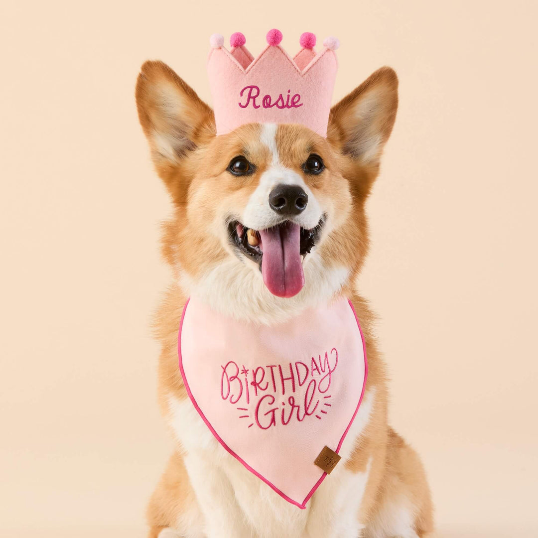 Birthday Girl Embroidered Dog Bandana
