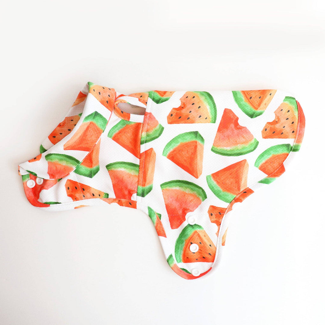 Watermelon Cooling Shirt