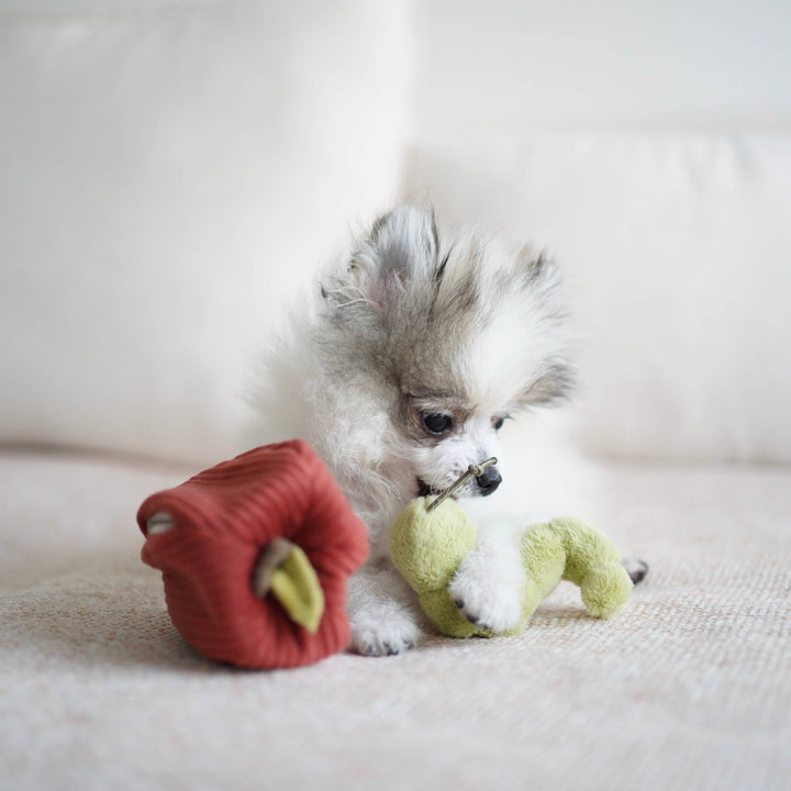 APPLE/ ENRICHMENT TOY SET// SNUFFLE TOY
