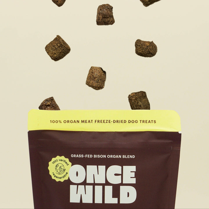 Bison Organ Blend Treats