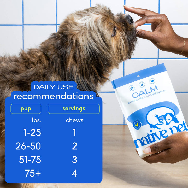 Calm Chews Anxiety & Calming Supplement for Dogs