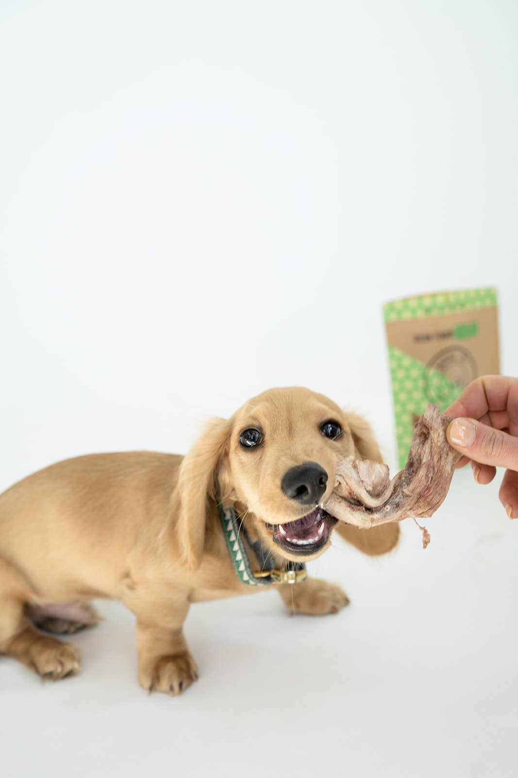 Bison Tendon Chew