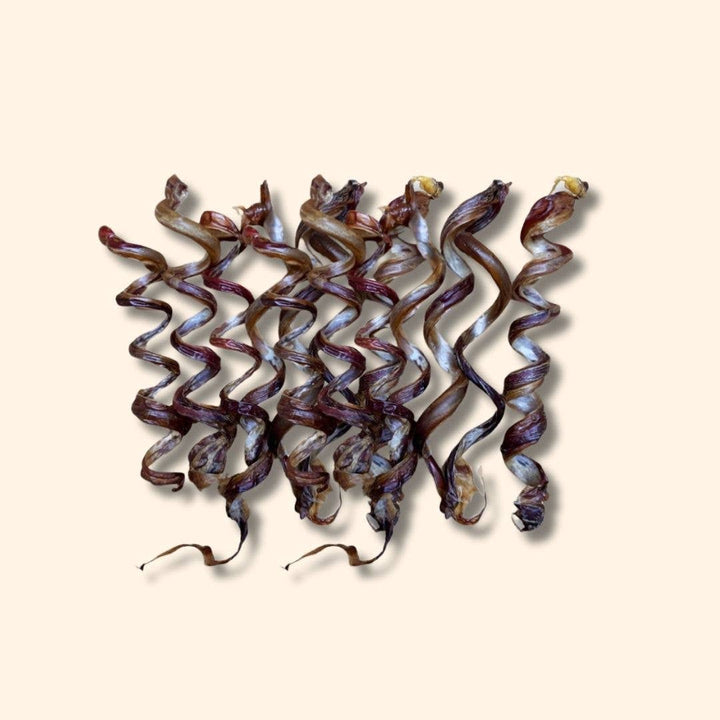 Pork Pizzle Spiral 10 Pk