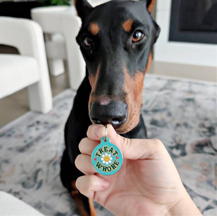 Treat Wh*re - QR Code ID Tag