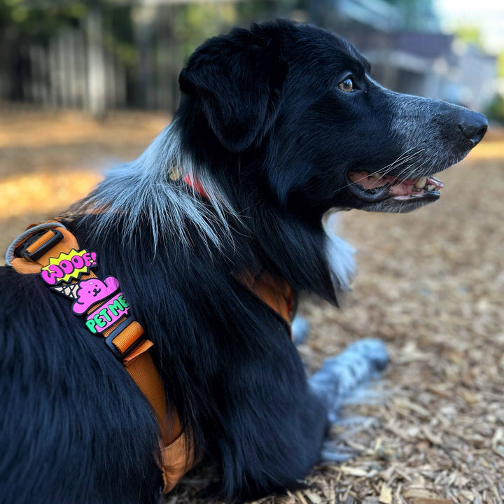 JIBY Dog Badge