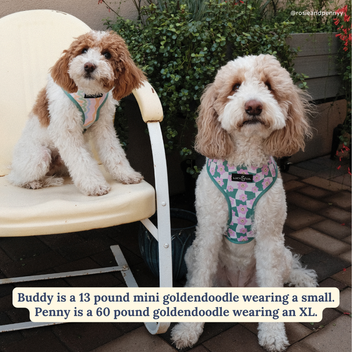 Just Chill Reversible Harness