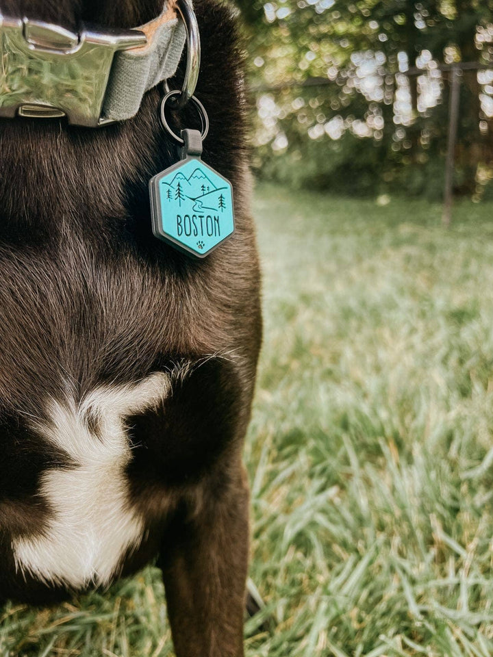 Mountain Adventure Silicone Dog ID Tag