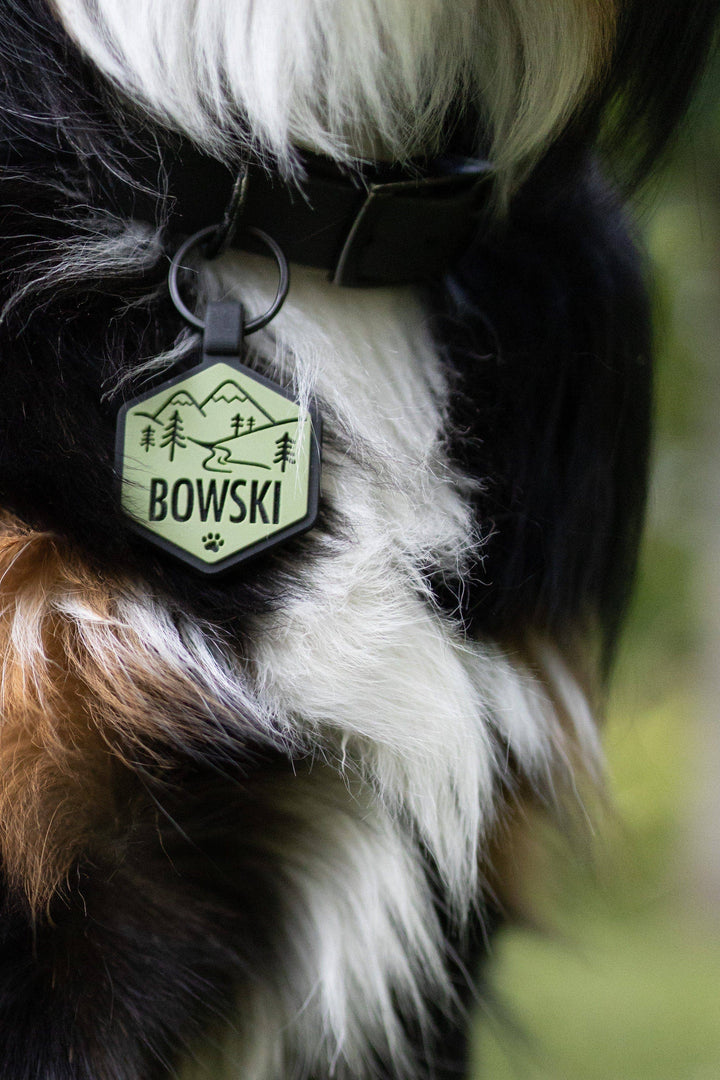 Mountain Adventure Silicone Dog ID Tag