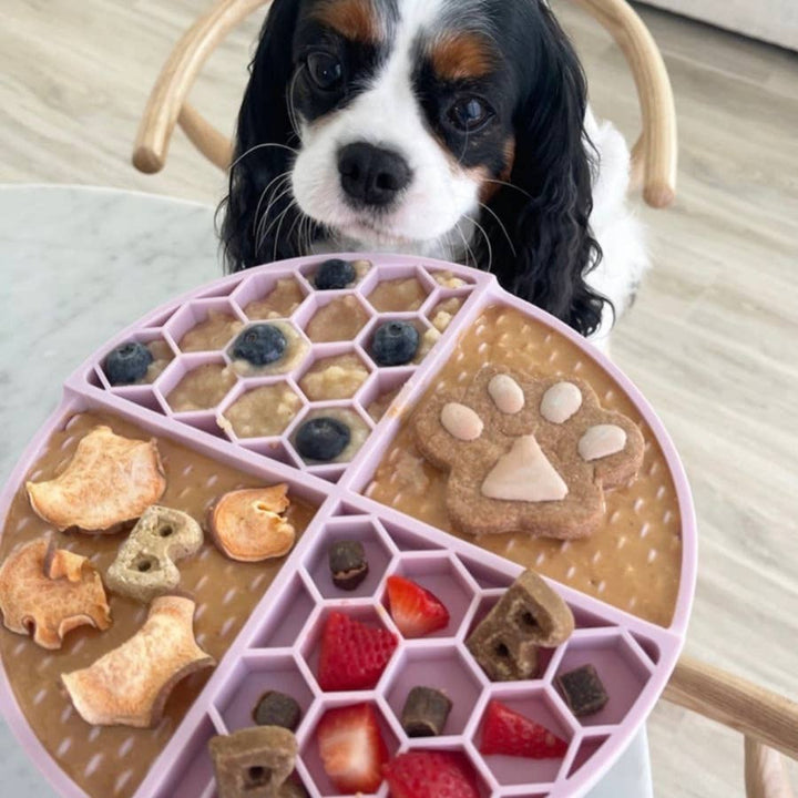 Valentine's Day Sweetheart Snack Buddy Budder