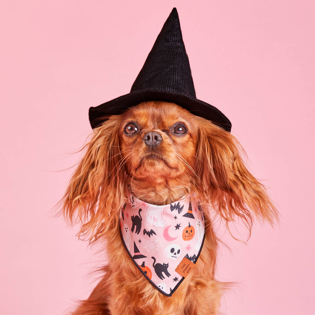 Bewitched Halloween Bandana