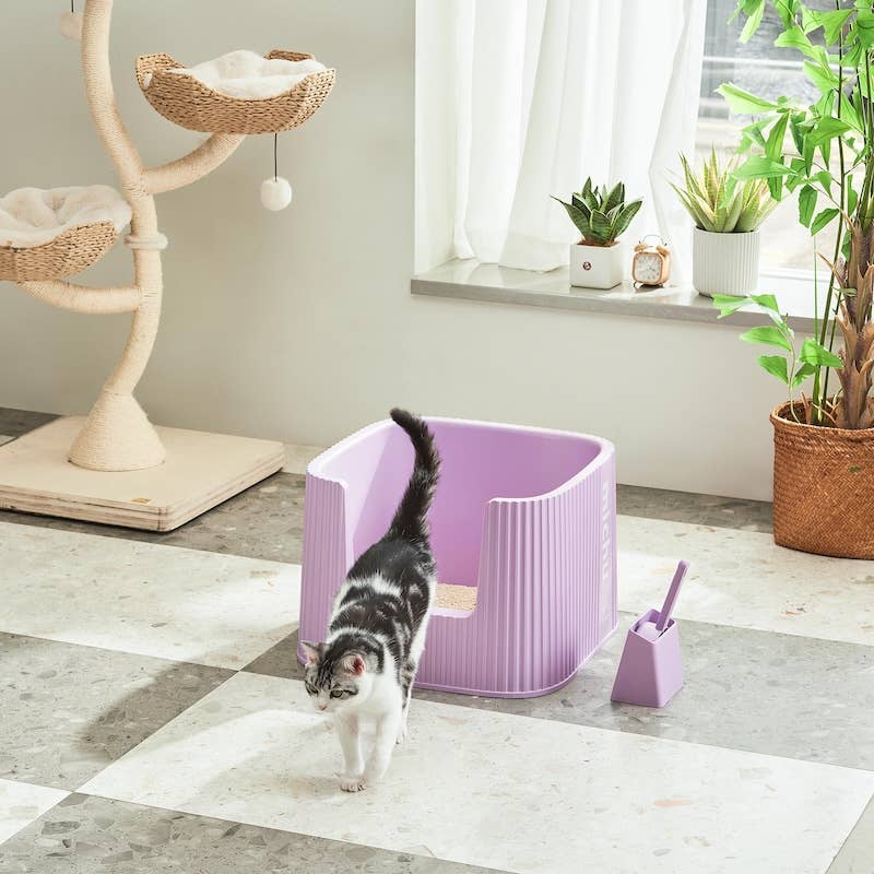 Michu XXL Container Cat Litter Box with Scoop, Coral or BoBa