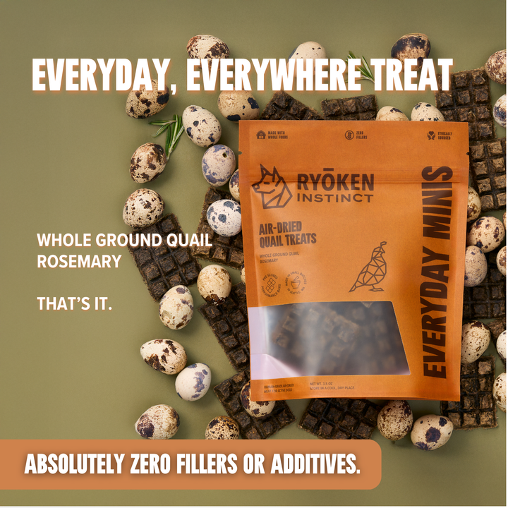 Quail Mini Training Treats for Dogs - Low-Calorie & Tasty