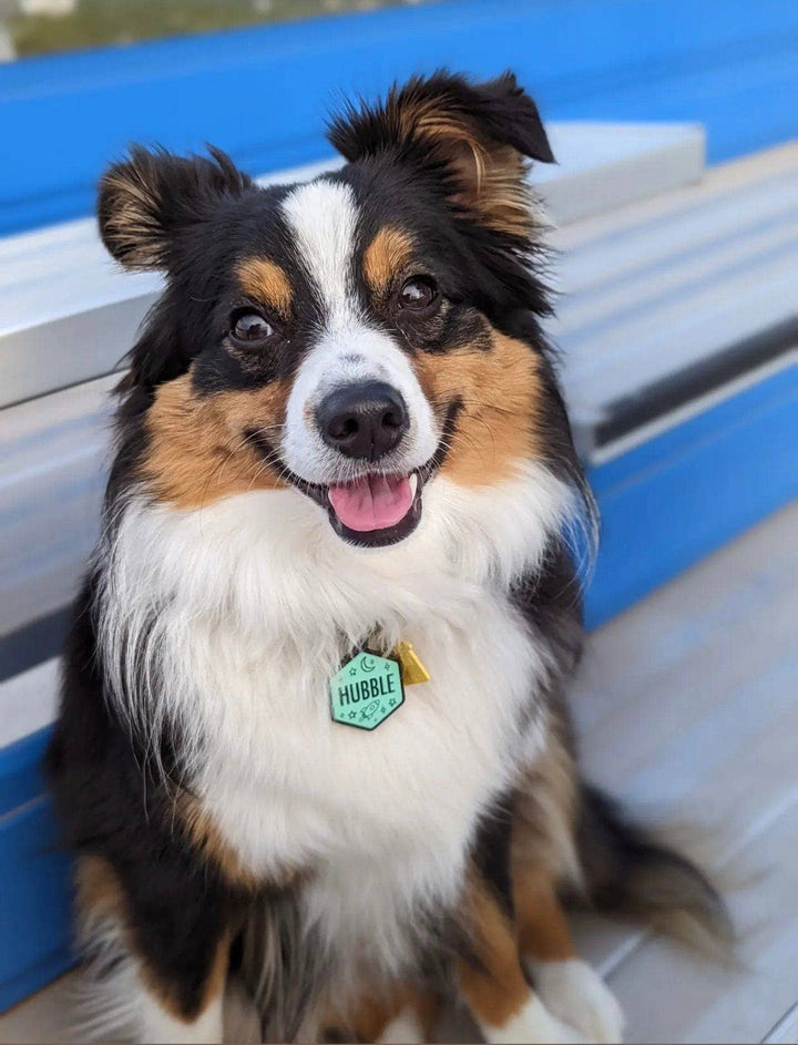 Space Cadet Silicone Dog ID Tag