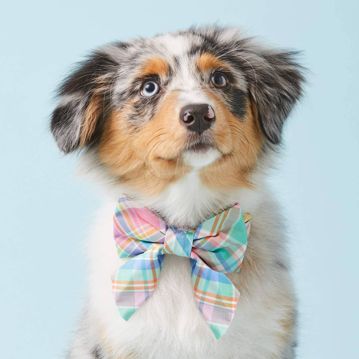 Blooming Plaid Lady Dog Bow