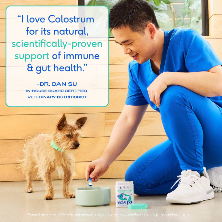 Native Pet Colostrum Immune System Powder Supplement for Dog