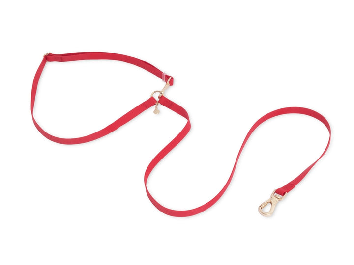 4-in-1 Wide Hands-Free Convertible Cloud Leash (3/4")