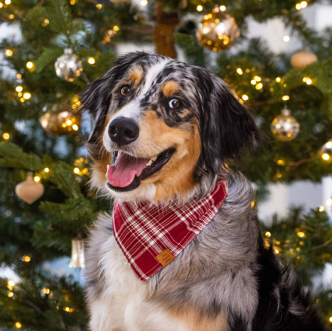 Marsala Plaid Flannel Holiday Bandana